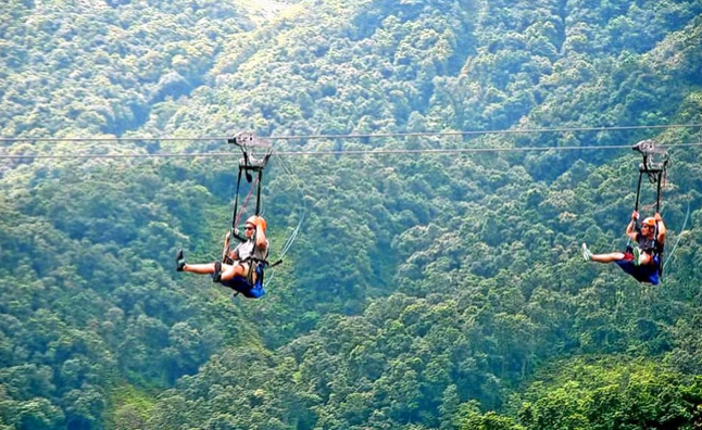 Munnar Flying Fox, India